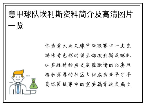 意甲球队埃利斯资料简介及高清图片一览